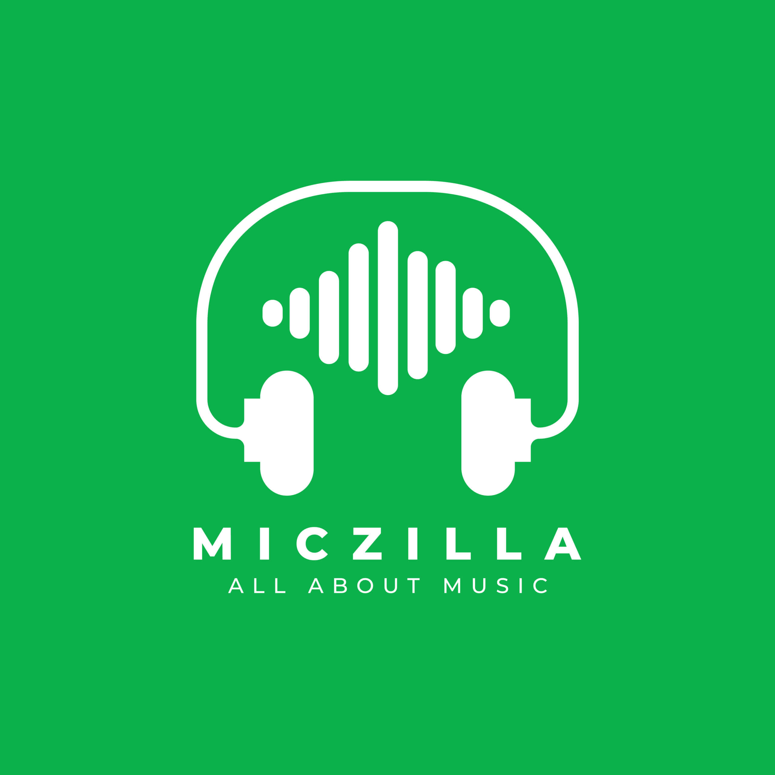 Miczilla 3 scaled Logo Design, Famebro media, Famebro Creative Studio, Website Design