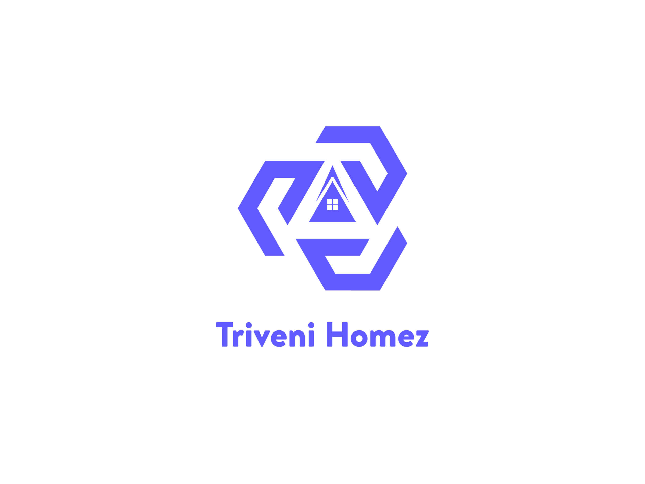 Triveni Home (4)