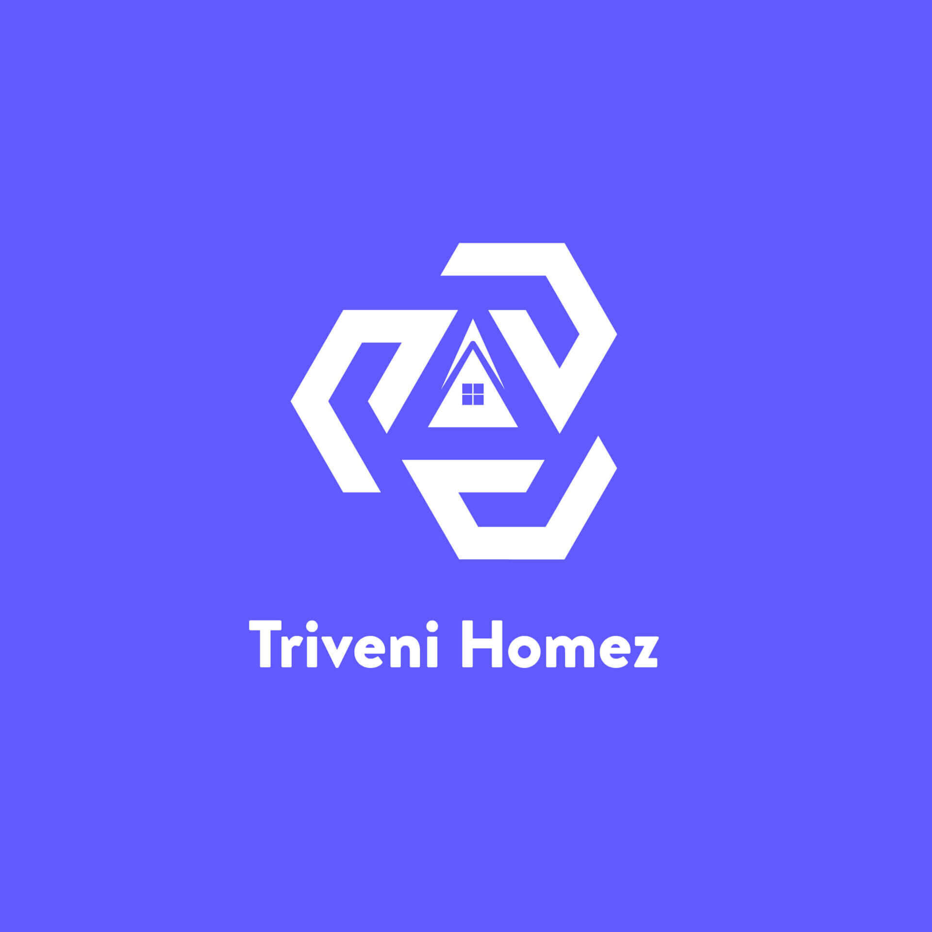 Triveni Home 5 scaled e1654636417795 Logo Design, Famebro media, Famebro Creative Studio, Website Design