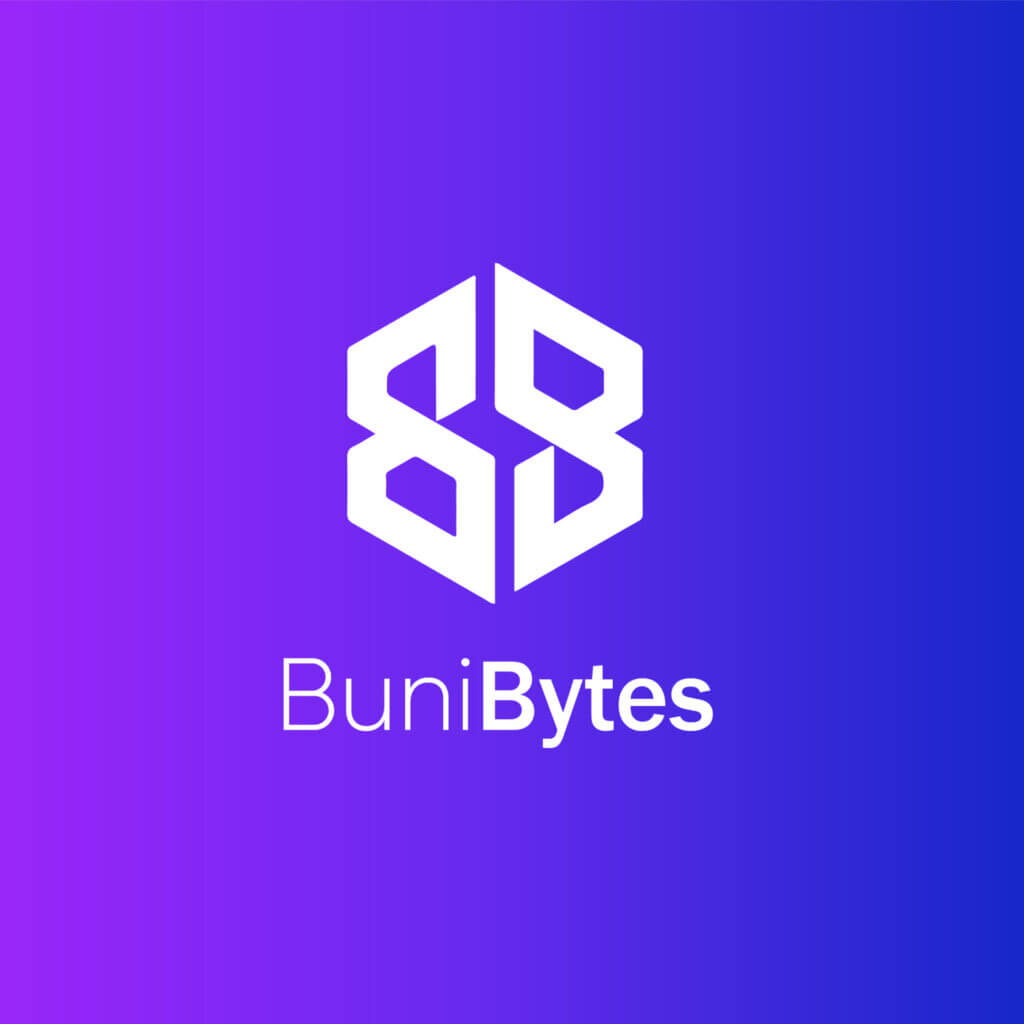 BuniBytes 6 scaled e1654641740441 Logo Design, Famebro media, Famebro Creative Studio, Website Design