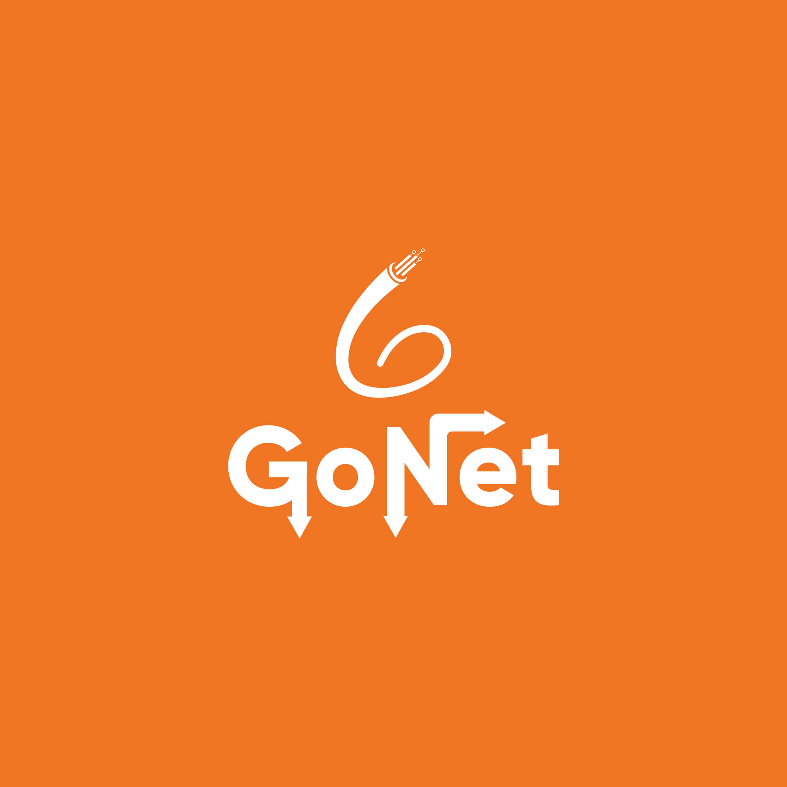 Gonet (2)