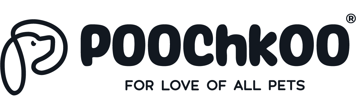 Logo 3 2 Logo Design, Famebro media, Famebro Creative Studio, Website Design