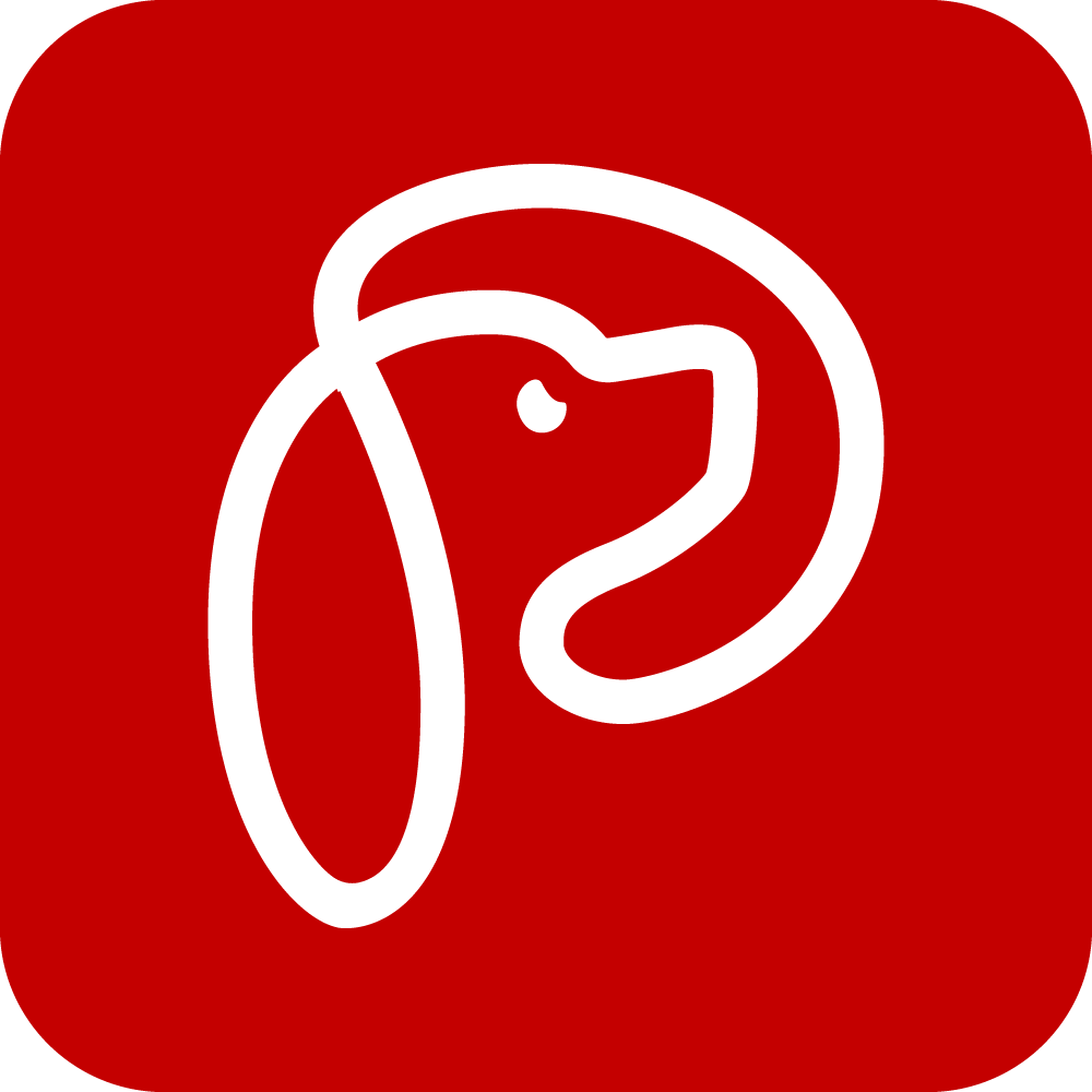 Poochkoo Logo Design, Famebro media, Famebro Creative Studio, Website Design