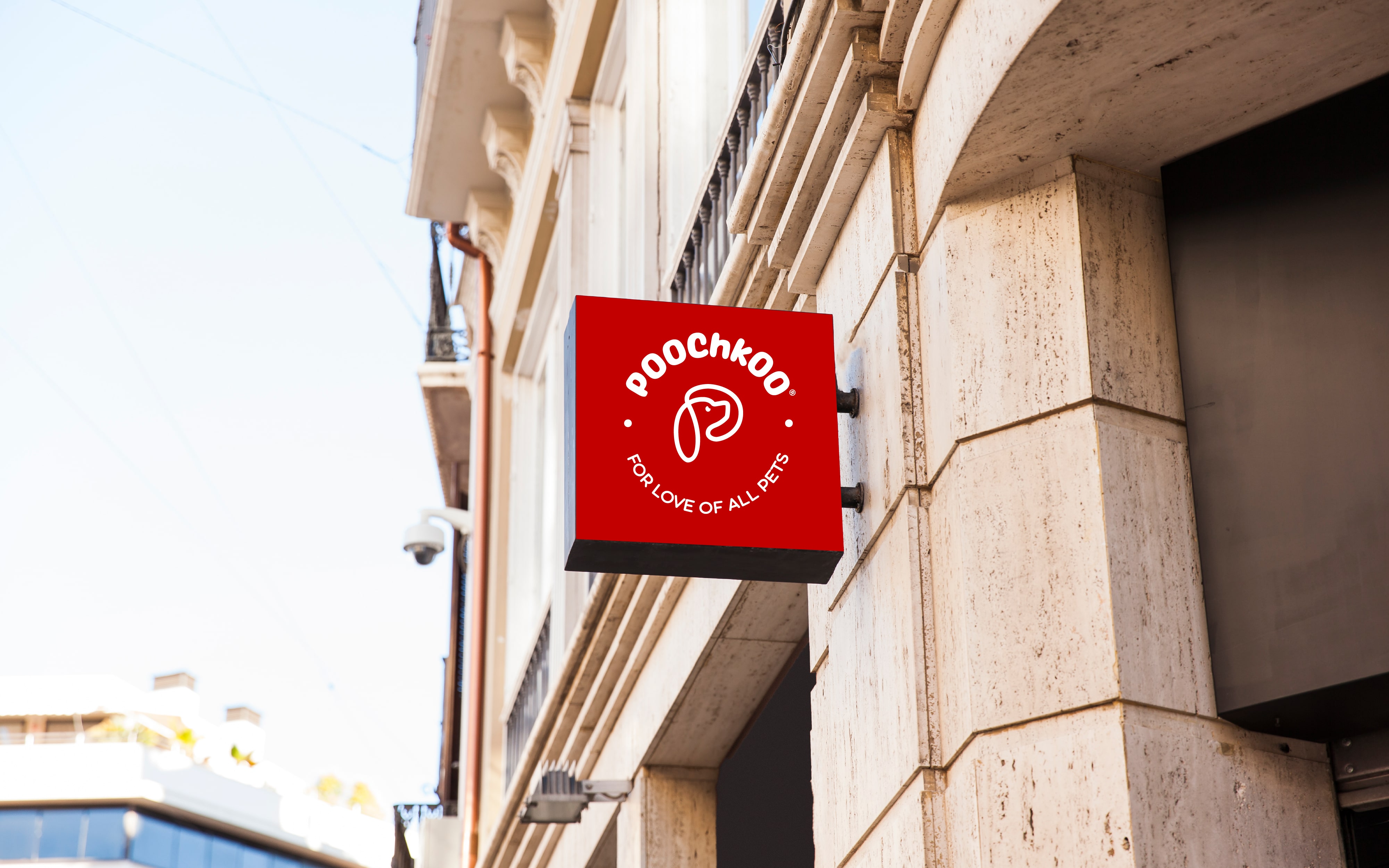 Poochkoo1 Logo Design, Famebro media, Famebro Creative Studio, Website Design
