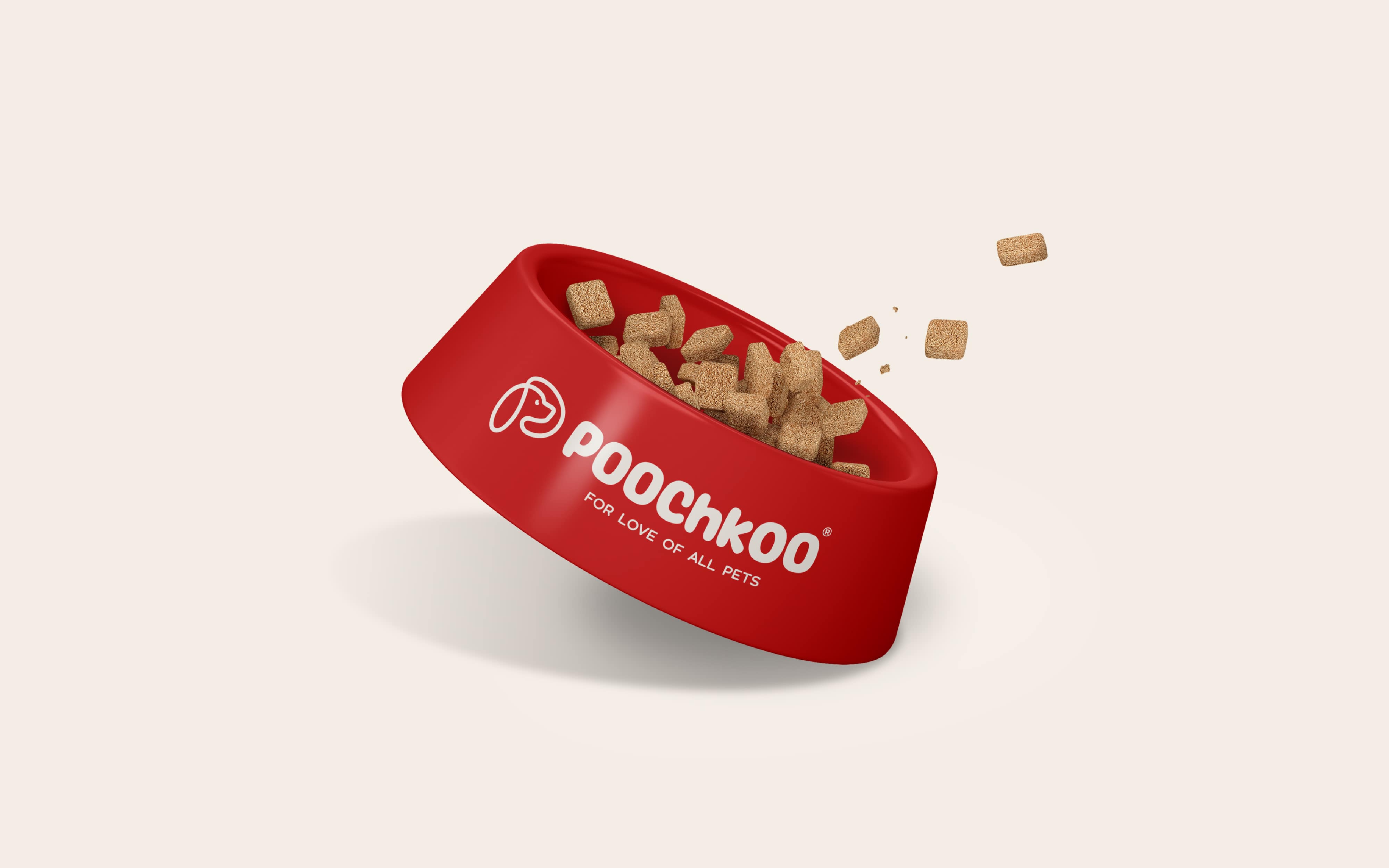 Poochkoo3 Logo Design, Famebro media, Famebro Creative Studio, Website Design