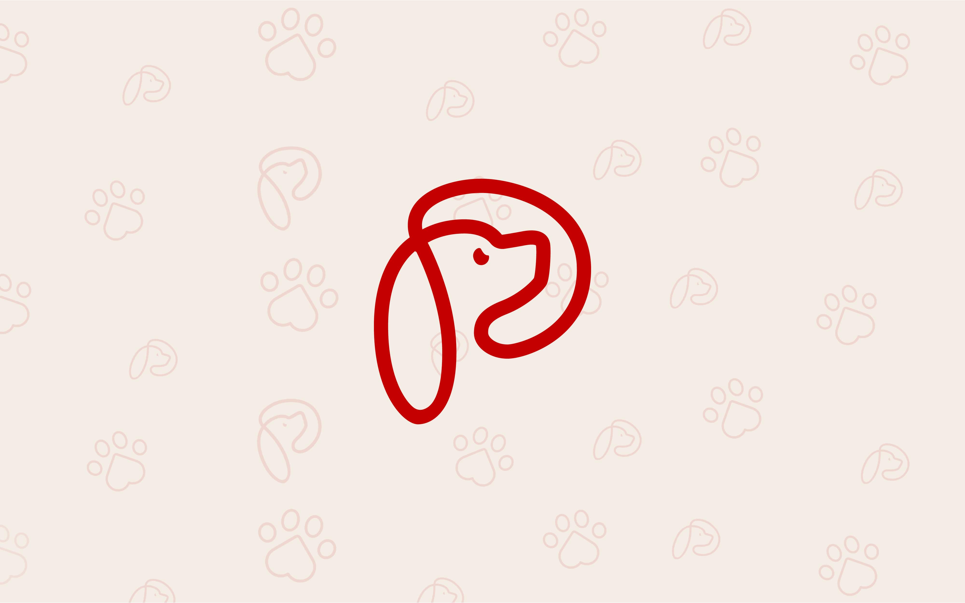 Poochkoo5 Logo Design, Famebro media, Famebro Creative Studio, Website Design